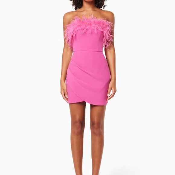 Elliatt Paulina Dress - NWT - Picture 2 of 3